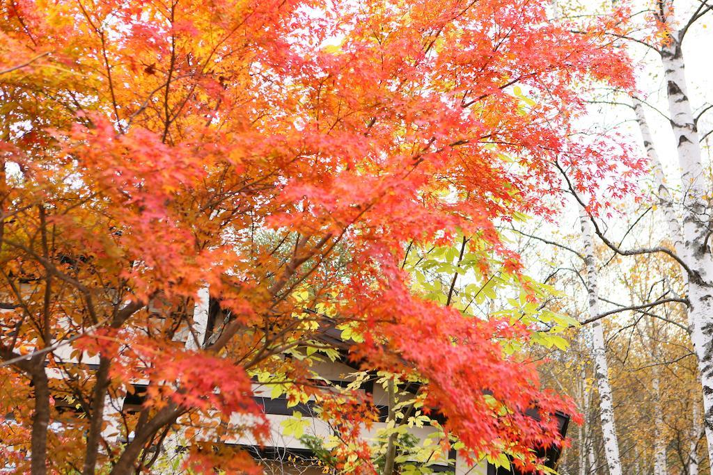 Konashi No Yu Sasaya Matsumoto Exterior foto
